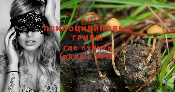 дмт Абинск